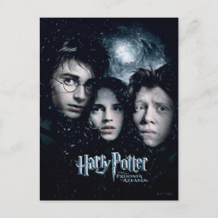 Harry Potter Movie Poster Briefkaart