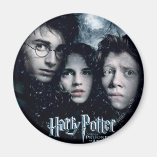 Harry Potter Movie Poster Magneet