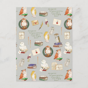 HARRY POTTER™   Owl Letter Patroon Briefkaart