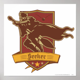 Harry Potter QUIDDITCH™ Zoeker Wapen Poster