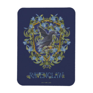 HARRY POTTER™   RAVENCLAW™ Crest Magneet
