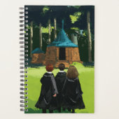 HARRY POTTER™, Ron, & Hermione à Hagrid's Hut (Devant)