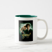 Harry Potter Ron Hermione Dobby Groepsbeeld
