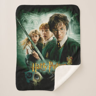 Harry Potter Ron Hermione Dobby Groepsfoto Sherpa Deken