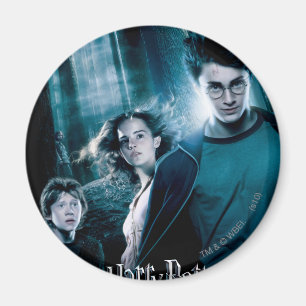 Harry Potter Ron Hermione in het bos Magneet