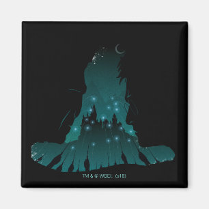 Harry Potter   Slag op het Pet van de Tovenaar Hog Magneet