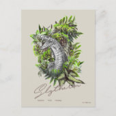 HARRY POTTER™ SLYTHERIN™ BRIEFKAART (Voorkant)