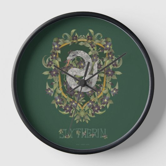 HARRY POTTER™ | SLYTHERIN™ Crest (Voorkant)