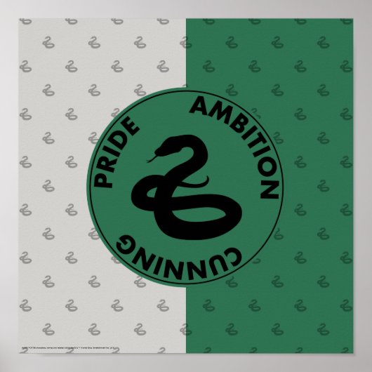 Harry Potter | SLYTHERIN™ House Traits Graphic Poster (Voorkant)