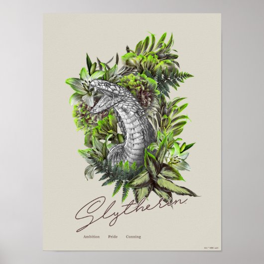 HARRY POTTER™ SLYTHERIN™ POSTER (Voorkant)