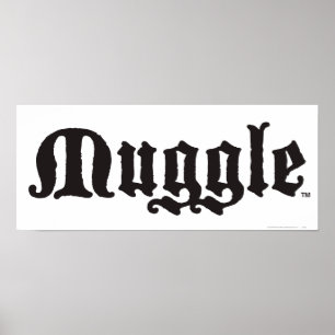 Harry Potter Spel Mugle Poster