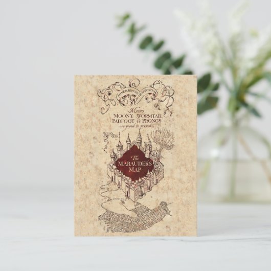 Harry Potter Spell | Carte de Marauder (Debout devant)