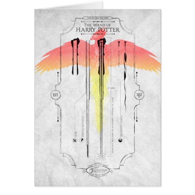Harry Potter Spell | Harry's Wand Infographic (Voorkant)