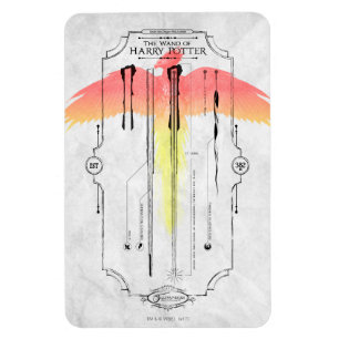 Harry Potter Spell Harry's Wand Infographic Magneet
