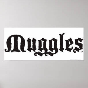 Harry Potter spreuk Dreuzels Poster