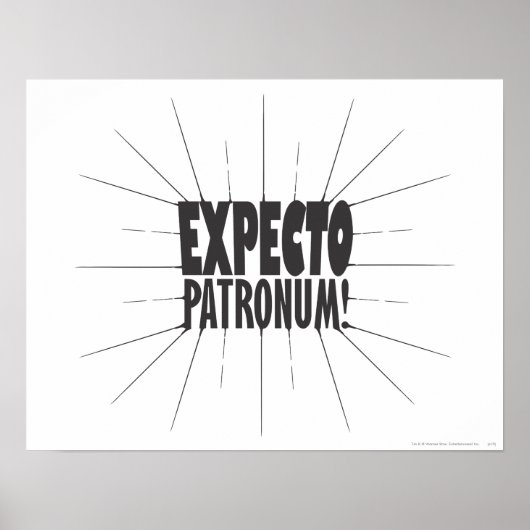 Harry Potter toverspreuk | EXPECTO PATRONUM™! Poster (Voorkant)
