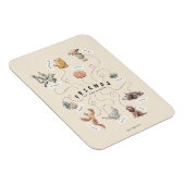 HARRY POTTER™ | Vrienden van Hogwarts Magneet (Rechterzijde)