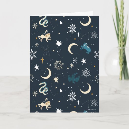 Harry Potter | Winter Constellatiepatroon Feestdagen Kaart (Voorkant)