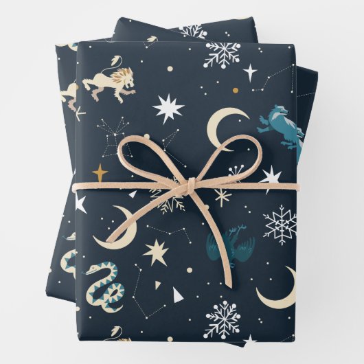 Harry Potter | Winter Constellation Pattern Inpakpapier Vel (In situ)