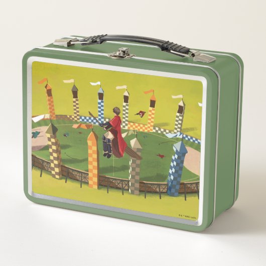 HARRY POTTER™ zoekt de Golden Snitch (Voorkant)