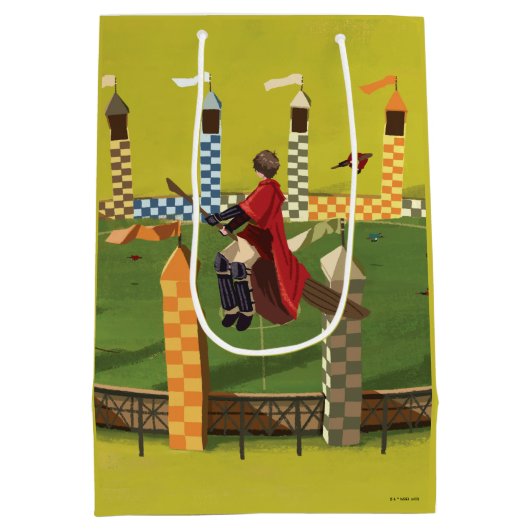 HARRY POTTER™ zoekt de Golden Snitch Medium Cadeauzakje (Achterkant)
