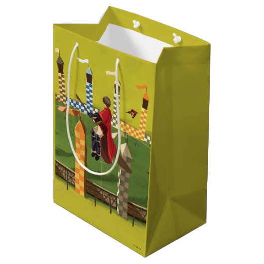 HARRY POTTER™ zoekt de Golden Snitch Medium Cadeauzakje (Achterkant Gekanteld)