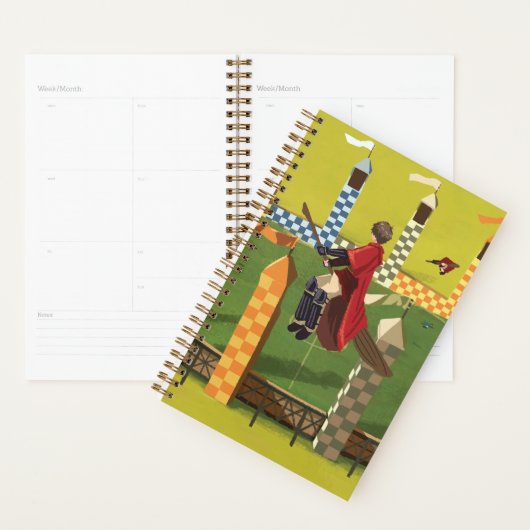 HARRY POTTER™ zoekt de Golden Snitch Planner (Display)