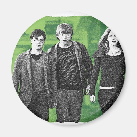 Harry, Ron en Hermione 1 Magneet (Voorkant)