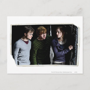 Harry, Ron en Hermione 4 Briefkaart