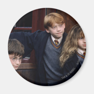 Harry, Ron en Hermione Magneet