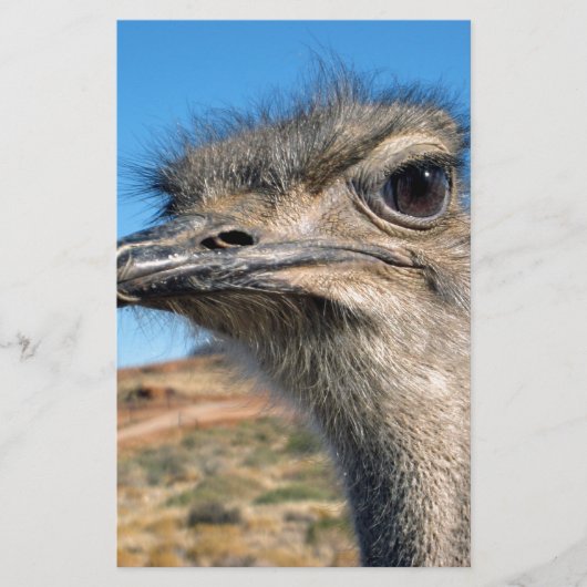 Harry the Happy Ostrich Briefpapier (Voorkant)