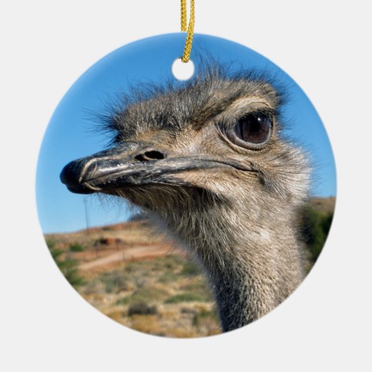 Harry the Happy Ostrich Keramisch Ornament (Voorkant)