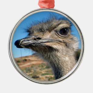 Harry the Happy Ostrich Metalen Ornament
