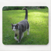 Harrypad 1 muismat (Voorkant)