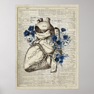 Hart anatomie met blauwe bloemen woordenboek kunst poster