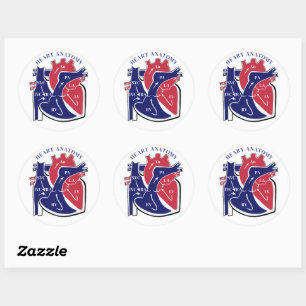 Hart Anatomie- Ronde Sticker