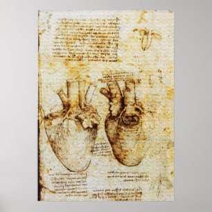 Hart,Bloedvaten,Leonardo Da Vinci,Sepia Poster