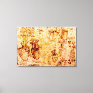 Hart en bloedvaten, bruin canvas afdruk