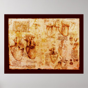 Hart en bloedvaten, bruin canvas poster