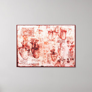 Hart en bloedvaten, Leonardo da Vinci, rood Canvas Afdruk