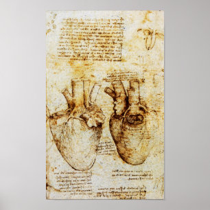 Hart en bloedvaten poster