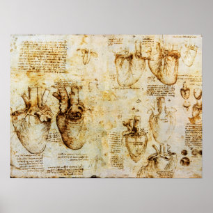 Hart en bloedvaten poster