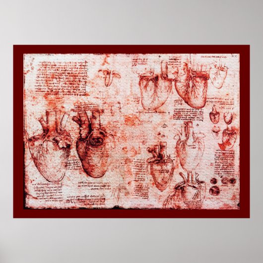 Hart en bloedvaten, rood canvas poster (Voorkant)