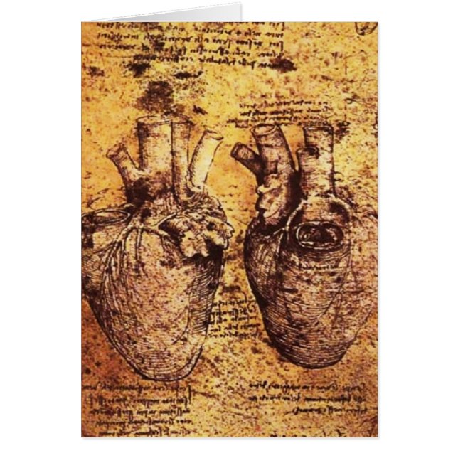 Hart en de bloedvaten, perkament (Voorkant)