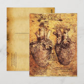 Hart en de bloedvaten, perkament briefkaart (Voorkant / Achterkant)