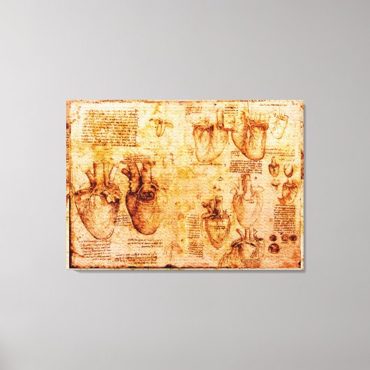 Hart en zijn bloedvaten, bruin canvas afdruk (Voorkant)