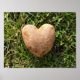 Hart Gevormde Aardappel Poster