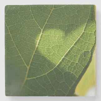 Hart op een Zonneverlichte Blad Onderzetter