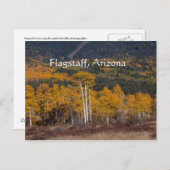 Hart Prairie Flagstaff, Arizona Briefkaart (Voorkant / Achterkant)