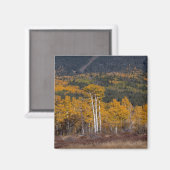 Hart Prairie Magneet (Voorkant / Achterkant)